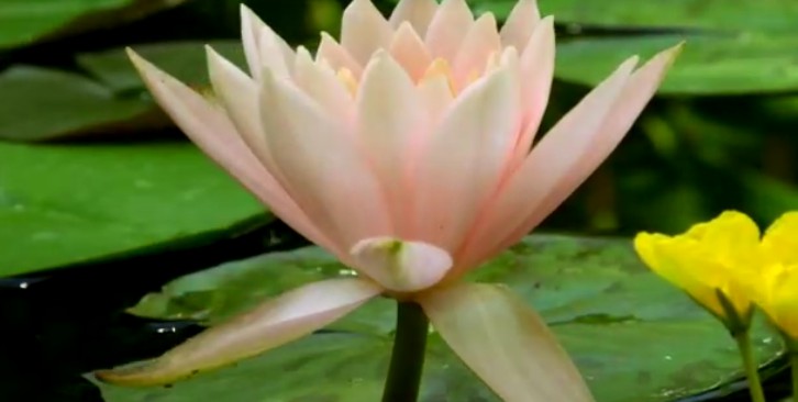 风景航拍视频素材下载14，卡点剪切集合（7个） 短视频素材 sucaiwan.com