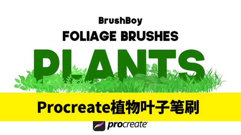 20款植物叶子Procreate笔刷素材 笔刷资源 第1张-素材湾丨精选海外优质设计素材资源 20款植物叶子Procreate笔刷素材 笔刷资源 sucaiwan.com