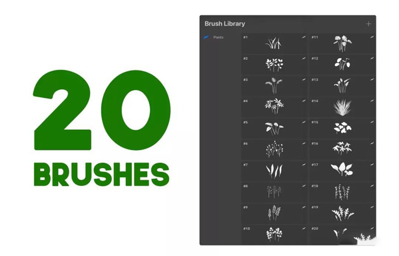 20款植物叶子Procreate笔刷素材 笔刷资源 第2张-素材湾丨精选海外优质设计素材资源 20款植物叶子Procreate笔刷素材 笔刷资源 sucaiwan.com