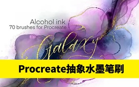 抽象形状酒精墨水纹理Procreate笔刷