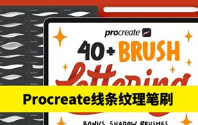 40+风格各异的Procreate线条纹理笔刷
