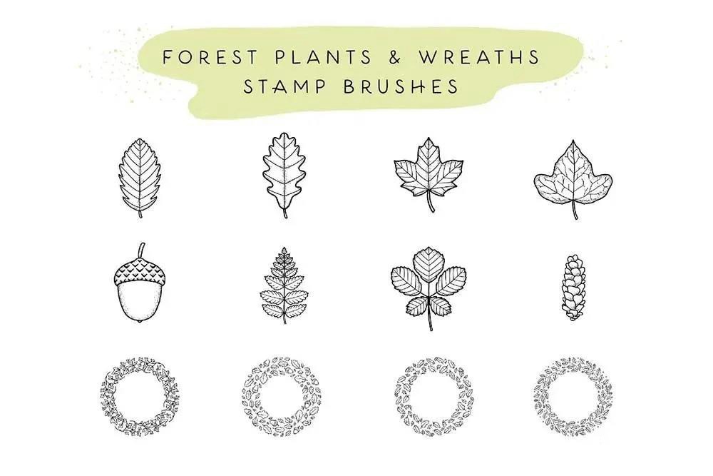 Procreate笔刷混合包和字体素材 笔刷资源 第16张-素材湾丨精选海外优质设计素材资源 Procreate笔刷混合包和字体素材 笔刷资源 sucaiwan.com