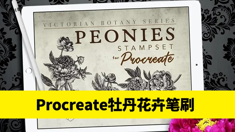 复古牡丹花卉Procreate印章笔刷套装 笔刷资源 sucaiwan.com