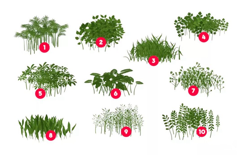 20款植物叶子Procreate笔刷素材 笔刷资源 第3张-素材湾丨精选海外优质设计素材资源 20款植物叶子Procreate笔刷素材 笔刷资源 sucaiwan.com