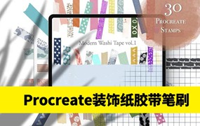 新款现代装饰纸胶带Procreate笔刷套装