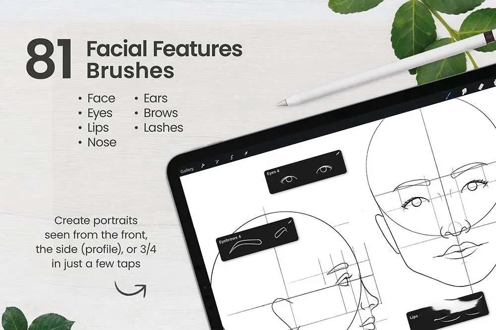 人脸肖像制作Procreate笔刷套装 笔刷资源 第8张-素材湾丨精选海外优质设计素材资源 人脸肖像制作Procreate笔刷套装 笔刷资源 sucaiwan.com