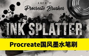 17款国风墨水飞溅效果素描绘画画笔Procreate笔刷