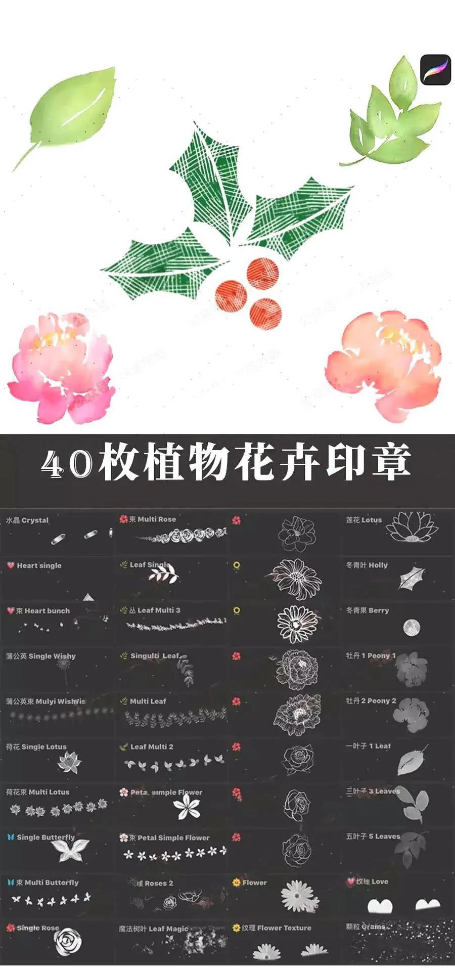 100款花草植物环境笔刷 笔刷资源 sucaiwan.com