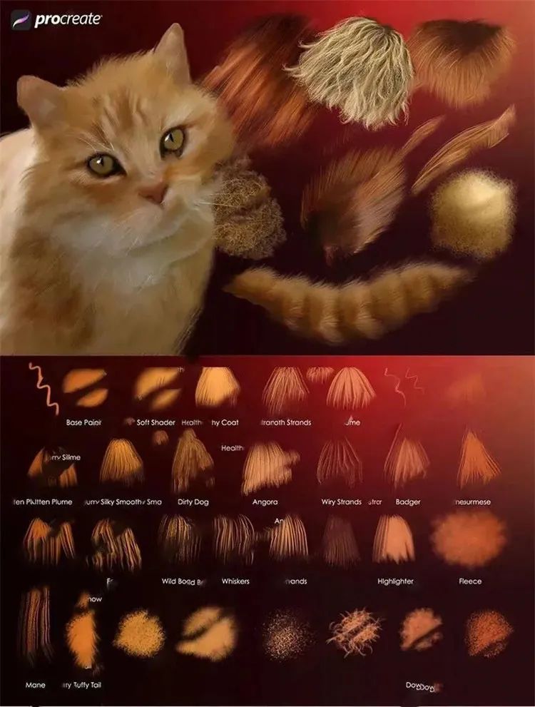 400款Procreate新款厚涂立体轮廓笔刷合集 笔刷资源 第19张-素材湾丨精选海外优质设计素材资源 400款Procreate新款厚涂立体轮廓笔刷合集 笔刷资源 sucaiwan.com