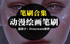 Procreate笔刷-卡通动漫人像头发睫毛眼睛皮肤插画绘画Procreate笔刷