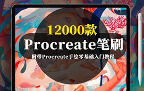 12000款精品Procreate分类笔刷及手绘零基础入门教程