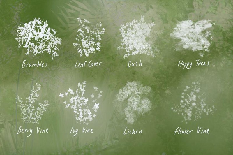 Procreate笔刷-植物树叶自然风景画笔刷素材资源 笔刷资源 第6张-素材湾丨精选海外优质设计素材资源 Procreate笔刷-植物树叶自然风景画笔刷素材资源 笔刷资源 sucaiwan.com