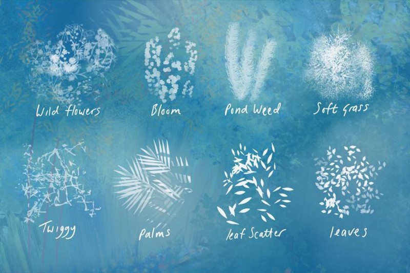 Procreate笔刷-植物树叶自然风景画笔刷素材资源 笔刷资源 第5张-素材湾丨精选海外优质设计素材资源 Procreate笔刷-植物树叶自然风景画笔刷素材资源 笔刷资源 sucaiwan.com