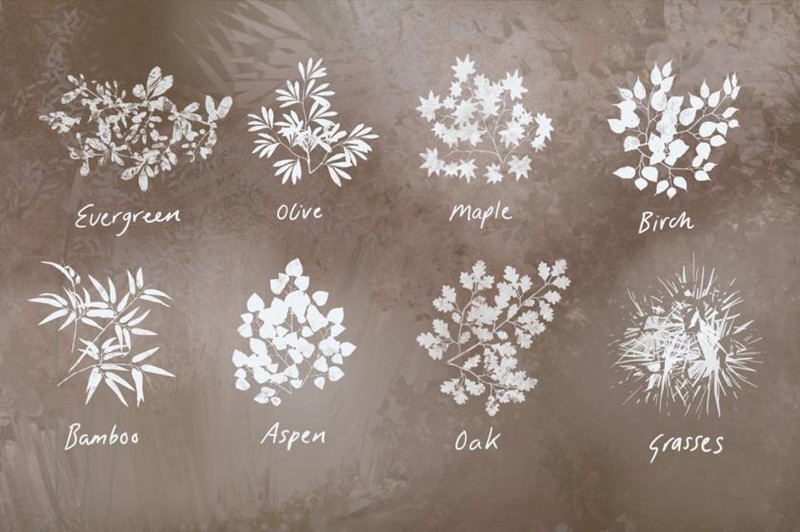 Procreate笔刷-植物树叶自然风景画笔刷素材资源 笔刷资源 第4张-素材湾丨精选海外优质设计素材资源 Procreate笔刷-植物树叶自然风景画笔刷素材资源 笔刷资源 sucaiwan.com