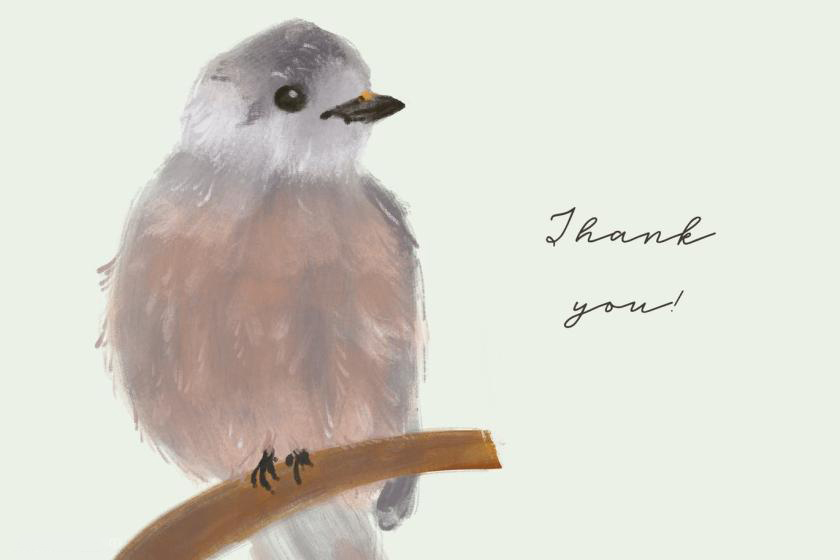 Procreate笔刷-油画卡通水彩铅笔纹理效果笔刷素材资源 笔刷资源 第9张-素材湾丨精选海外优质设计素材资源 Procreate笔刷-油画卡通水彩铅笔纹理效果笔刷素材资源 笔刷资源 sucaiwan.com