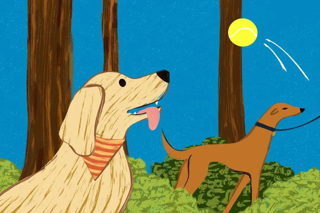 爆款Procreate专业干性纹理故障毛刺等笔刷合集 笔刷资源 第14张-素材湾丨精选海外优质设计素材资源 爆款Procreate专业干性纹理故障毛刺等笔刷合集 笔刷资源 sucaiwan.com