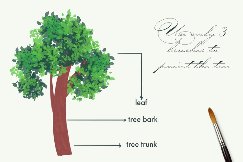 Procreate笔刷-树叶雪花星星植物风景插画笔刷素材资源 笔刷资源 第4张-素材湾丨精选海外优质设计素材资源 Procreate笔刷-树叶雪花星星植物风景插画笔刷素材资源 笔刷资源 sucaiwan.com