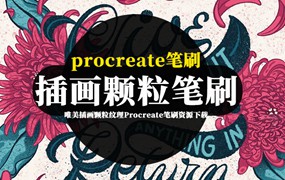 Procreate笔刷-唯美插画颗粒纹理Procreate笔刷资源下载