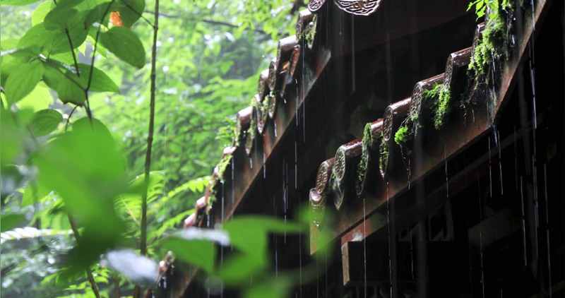 屋檐下雨雨滴意境视频素材 短视频素材 sucaiwan.com