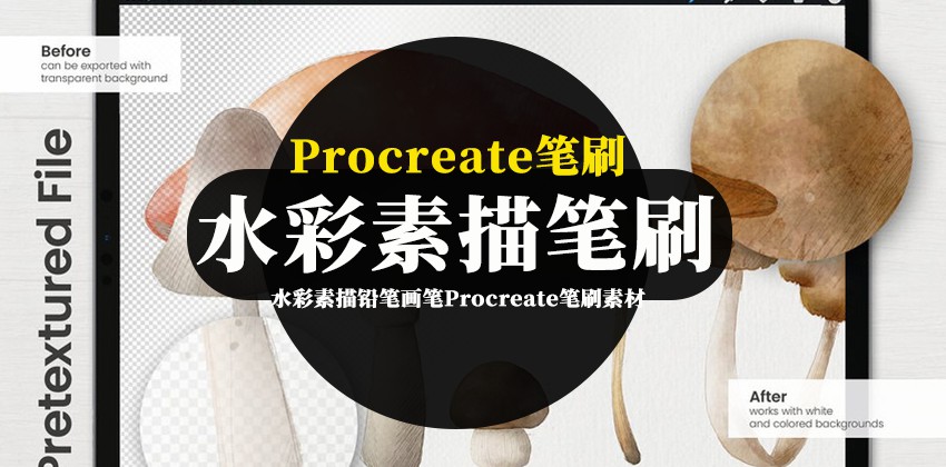 水粉画笔Procreate笔刷 笔刷资源 sucaiwan.com