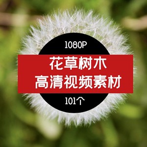 花草树木高清视频素材01