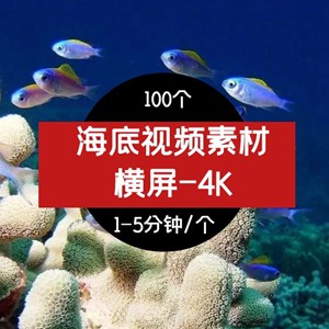 抖音素材-海底风景视频素材
