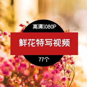 抖音植物鲜花大自然短视频素材,鲜花特写视频素材