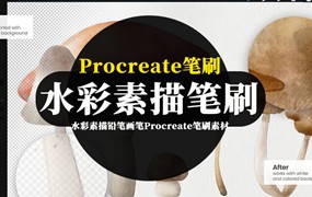 水粉画笔Procreate笔刷