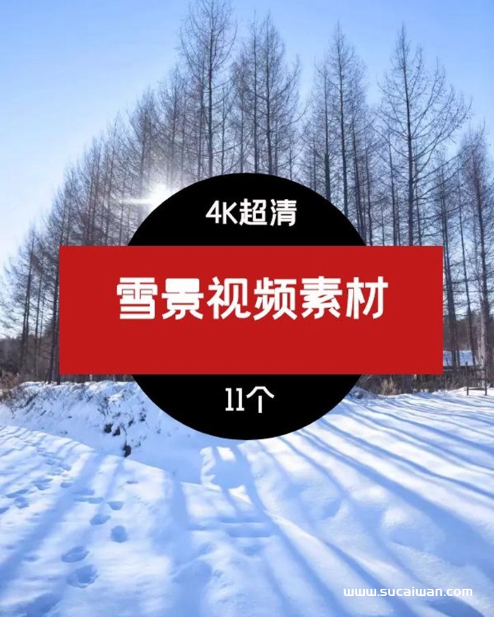 高清4K雪景视频素材04 短视频素材 sucaiwan.com