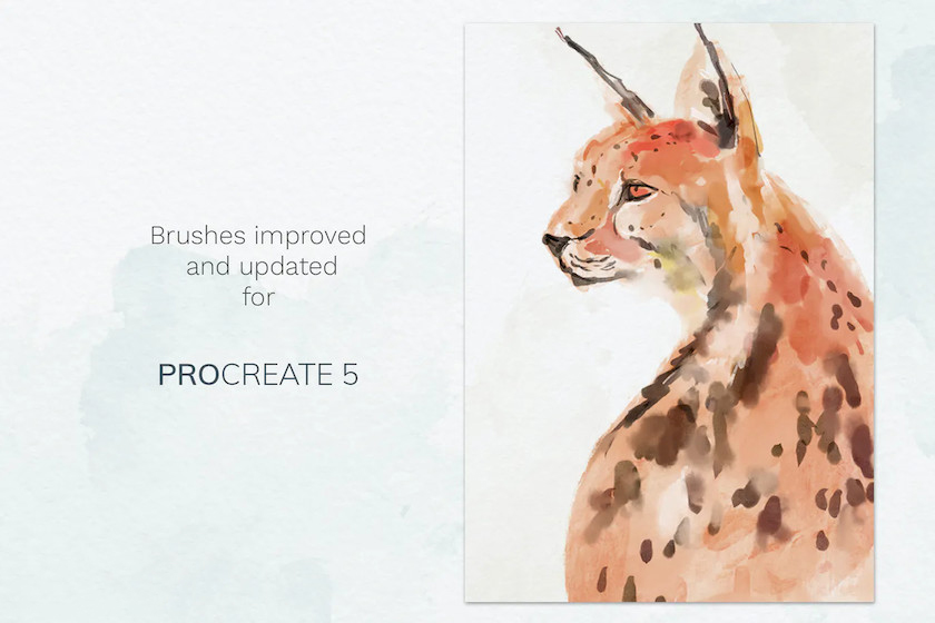 Procreate笔刷-水彩污渍插画画笔笔刷素材合集 笔刷资源 sucaiwan.com