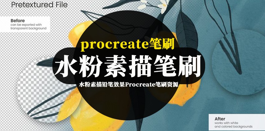 Procreate笔刷-水粉素描铅笔效果Procreate笔刷资源下载 笔刷资源 sucaiwan.com