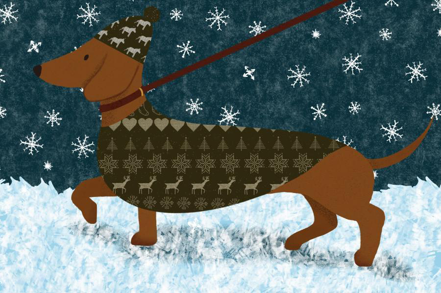 procreate笔刷-圣诞装饰星星雪花树枝彩灯麋鹿笔刷素材 笔刷资源 第6张-素材湾丨精选海外优质设计素材资源 procreate笔刷-圣诞装饰星星雪花树枝彩灯麋鹿笔刷素材 笔刷资源 sucaiwan.com