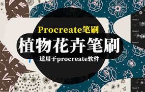 Procreate笔刷-植物花卉铅笔图案水彩笔刷素材资源合集