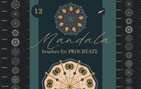 procreate笔刷-古典曼陀罗风格印花花纹图案procreate笔刷素材