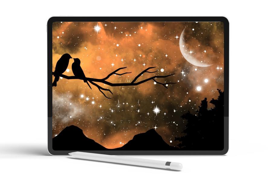 Procreate笔刷-星云月亮宇宙银河星系主题闪光效果笔刷素材 笔刷资源 sucaiwan.com