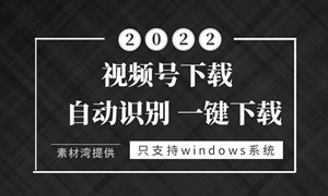微信视频号下载器