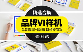 公司品牌logo标志名片VI贴图样机模板mockup提案效果图PSD素材