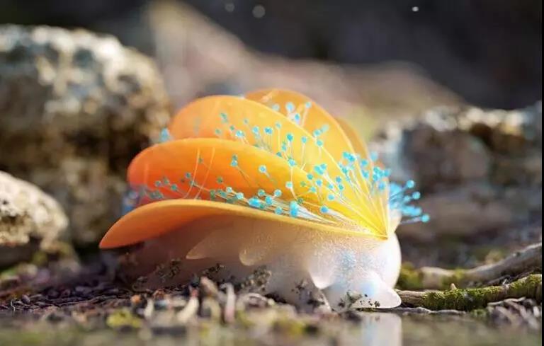 C4D·OC高级渲染视频教程，带你玩转质感渲染 设计教程 sucaiwan.com