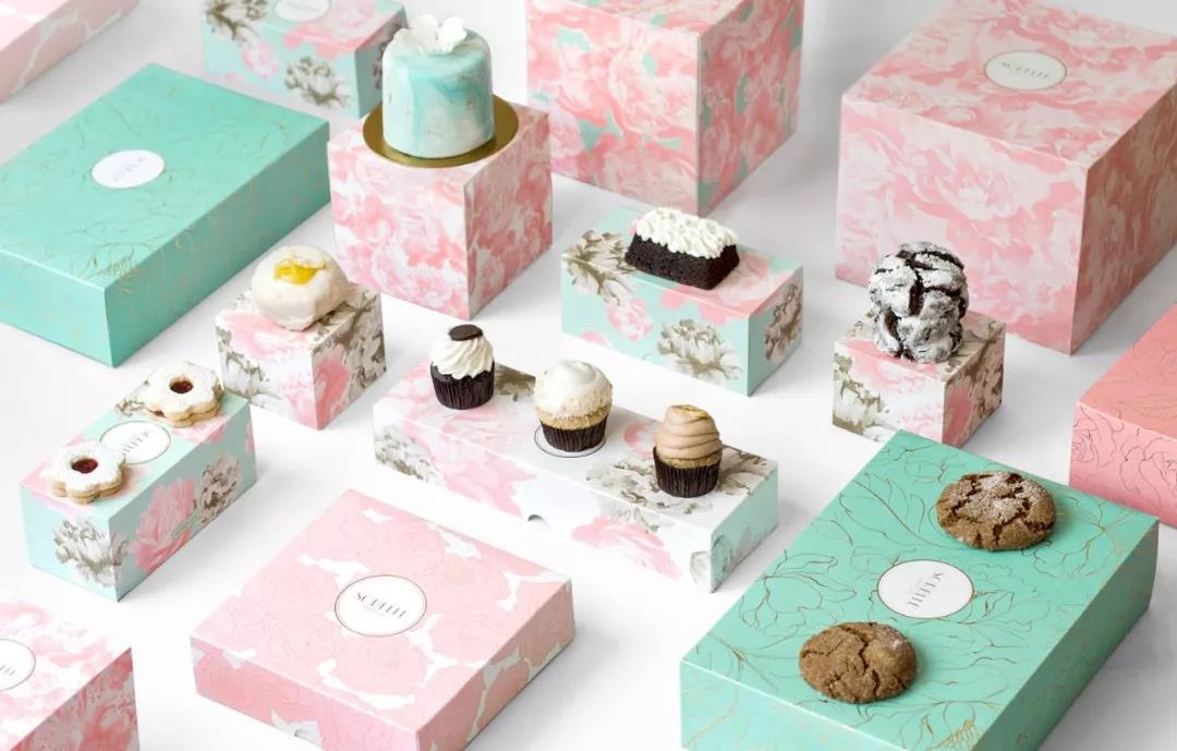 大神带你玩转平面包装设计插画视频教程 设计教程 sucaiwan.com