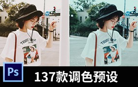 137款PR/PS清新胶片影视调色滤镜网红风LUTS调色预设