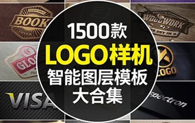 LOGO样机展示效果图3D智能贴图标志VI提案PSD分层设计素材模板