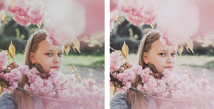 INS风格日系樱花粉色调胶片LR预设+LUT预设 插件预设 sucaiwan.com