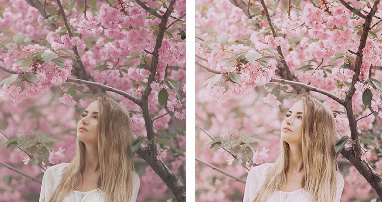 INS风格日系樱花粉色调胶片LR预设+LUT预设 插件预设 sucaiwan.com