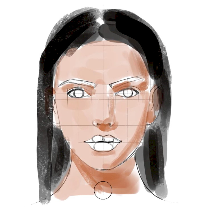 procreate笔刷-人像面部辅助线笔刷素材资源 笔刷资源 sucaiwan.com