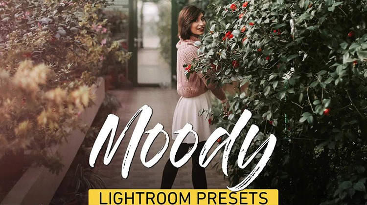 INS博客温暖时尚胶片Lightroom预设 插件预设 第1张-素材湾丨精选海外优质设计素材资源 INS博客温暖时尚胶片Lightroom预设 插件预设 sucaiwan.com