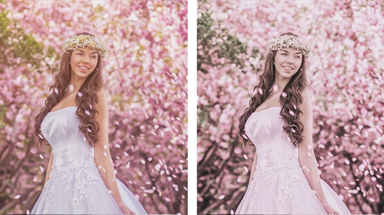 INS风格日系樱花粉色调胶片LR预设+LUT预设 插件预设 sucaiwan.com