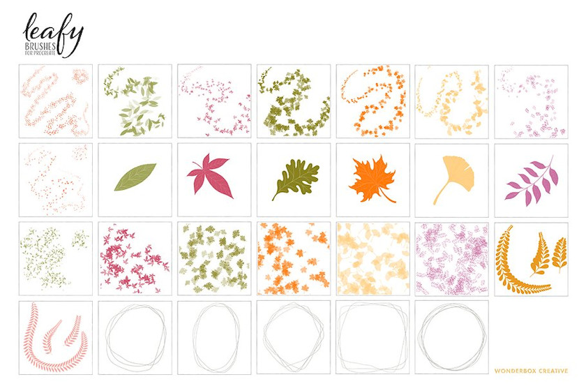 Procreate笔刷-植物叶子笔刷素材资源 笔刷资源 第3张-素材湾丨精选海外优质设计素材资源 Procreate笔刷-植物叶子笔刷素材资源 笔刷资源 sucaiwan.com