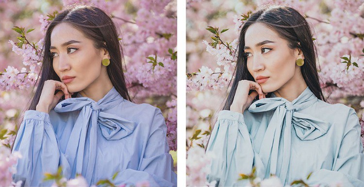 INS风格日系樱花粉色调胶片LR预设+LUT预设 插件预设 sucaiwan.com