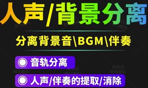 【短视频必备】人声分离软件背景音去除BGM人声伴奏提取消除音轨分离降噪