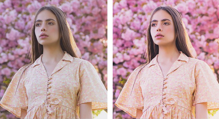 INS风格日系樱花粉色调胶片LR预设+LUT预设 插件预设 sucaiwan.com